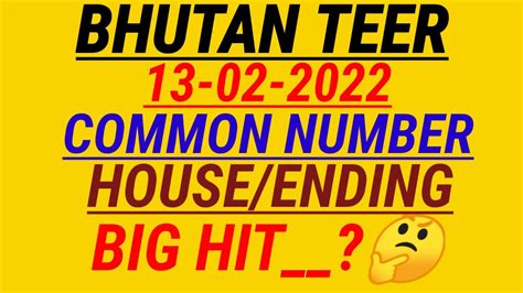 bhutan teer house|BHUTAN TEER COMMON NUMBER .